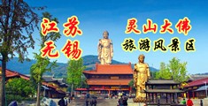 色色内内的射网站江苏无锡灵山大佛旅游风景区