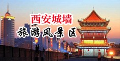 黄色美女手淫喷水中国陕西-西安城墙旅游风景区
